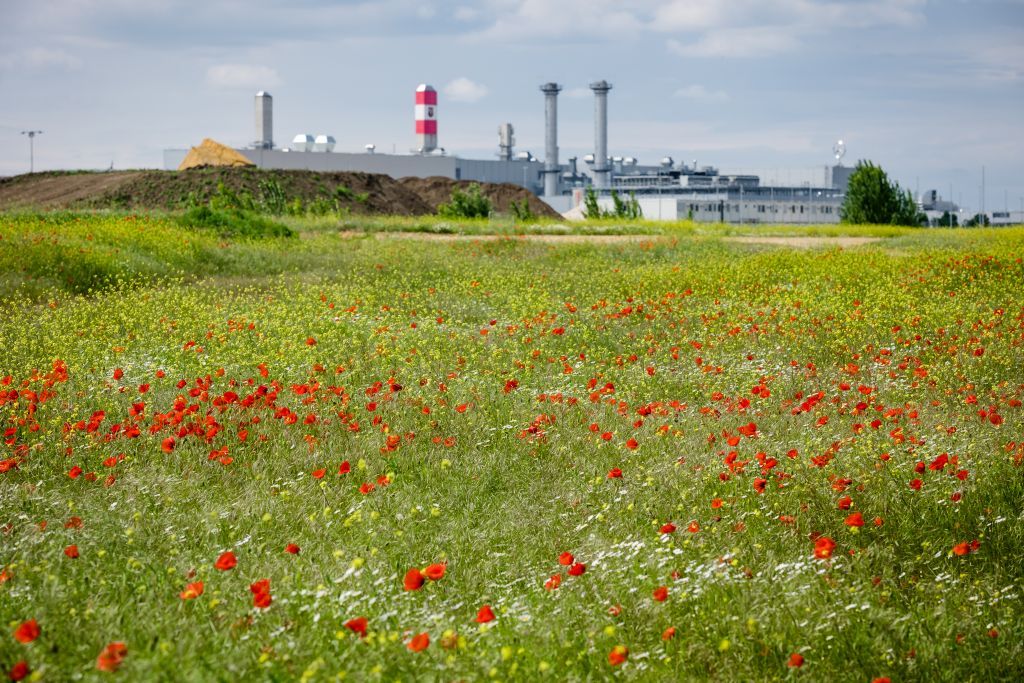 Energiewirtschaft